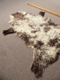 Curly Lambskin XS (14)