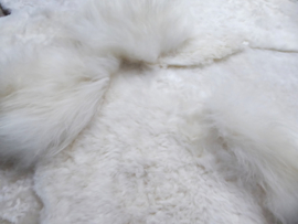 White Blizzard Sheepskin Rug, +/- 150 x 150 cm (30)