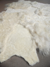 White Blizzard Sheepskin Rug, +/- 200 x 260 cm (20)