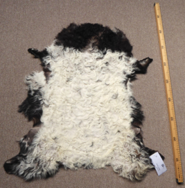 Curly Lambskin XS (18)