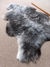 Welsh Sheepskin L (251)