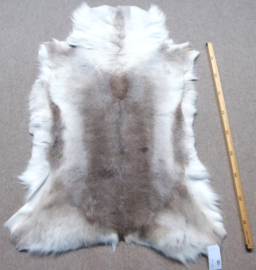Reindeer Hide (38)