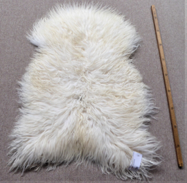 White Curly Icelandic Sheepskin S (4231)