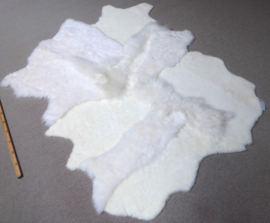 White Blizzard Sheepskin Rug, +/- 150 x 200 cm (253)