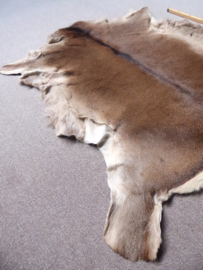 Red Deer Hide (2)