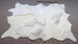 White Blizzard Sheepskin Rug, +/- 160 x 210 cm (502)