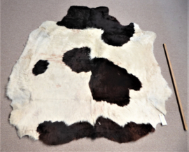 Yak Hide (3)