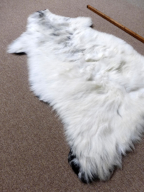 Welsh Sheepskin M (264)