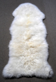 White Sheepskin XXL