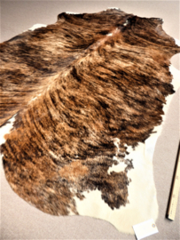 Brown-White Brindle Cowhide L (909)