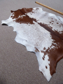 Goatskin (113)