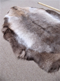 Reindeer Hide (56)