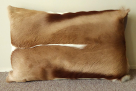 Springbok Cushion (60)