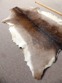 Fallow Deer Hide (84)