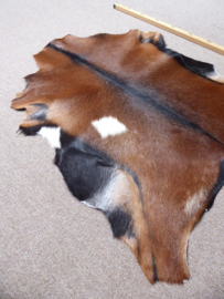 Goatskin (664)