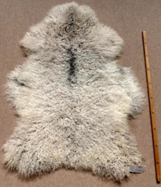 Gotland Sheepskin L (5)