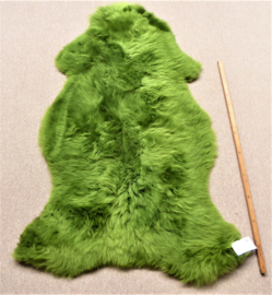 Green Sheepskin XL (4482)