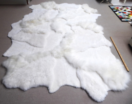 White Blizzard Sheepskin Rug, +/- 230 x 330 cm (5)