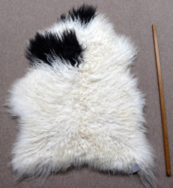 Spotted Curly Icelandic Sheepskin M (3302)