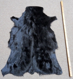 Springbok hide black