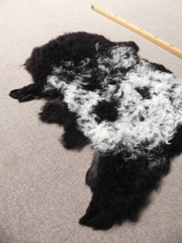 Curly Lambskin XS (10)