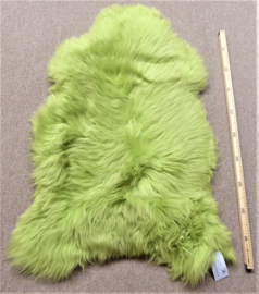 Apple Green Sheepskin M (4692)