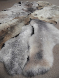 Mélange Shorn Sheepskin Rug, +/- 170 x 215 cm (94)