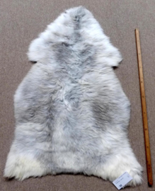 Welsh Sheepskin M (258)