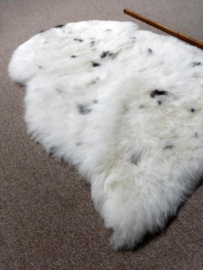 Spotted Shorn Sheepskin S (1772)