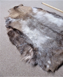 Reindeer Hide (50)