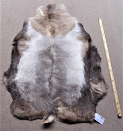 Reindeer Hide (60)