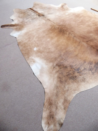 Beige-Caramel Brindle Cowhide L/XL (213)