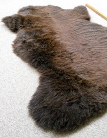 Brown Sheepskin (36)