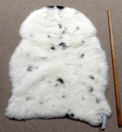 Spotted Shorn Sheepskin S (1772)