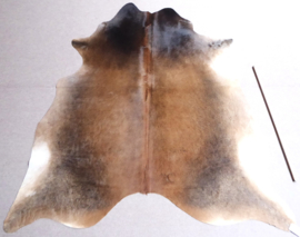 Caramel-Brown Cowhide M (650)