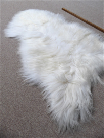 White Icelandic Sheepskin L (326)