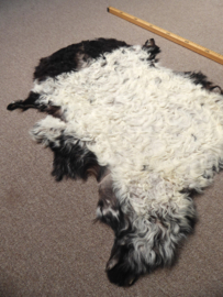 Curly Lambskin XS (18)