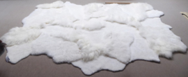 White Blizzard Sheepskin Rug, +/- 230 x 330 cm (5)