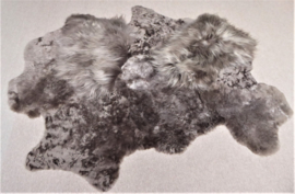 Taupe Blizzard Sheepskin Rug, +/- 150 x 200 cm (11)