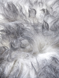 Grey Sheepskin XXL (5412)