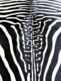 Zebra Printed Cowhide M (11)