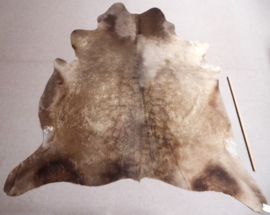 Taupe Cowhide L (315)