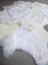 White Blizzard Sheepskin Rug, +/- 180 x 250 cm (300)