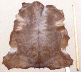 Goatskin (103)