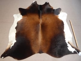 Tri-Coloured Cowhide XL (223)
