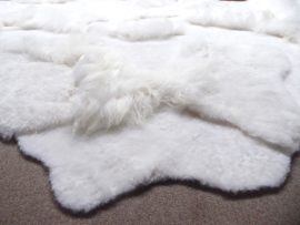 White Blizzard Sheepskin Rug, +/- 230 x 330 cm (5)