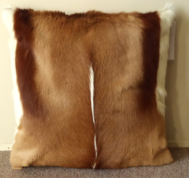 Springbok Cushion (57)