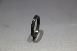 Zirkonium vingerafdruk ring / Smal 3 Mm  / 360c vingerafdruk