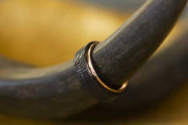 Zwarte zirkonium ringen met rosé gouden binnenzijde