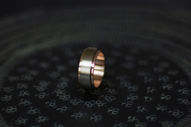 Titanium ring met gouden band